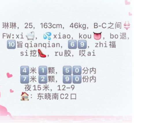 东晓南兼职琳琳
